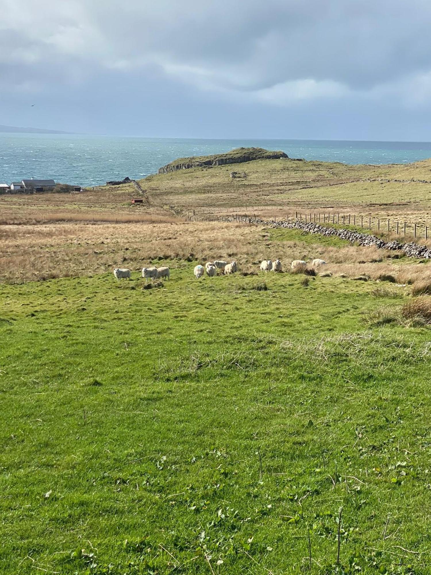 Cnoc Ruaraidh Cottage Kilmuir  외부 사진